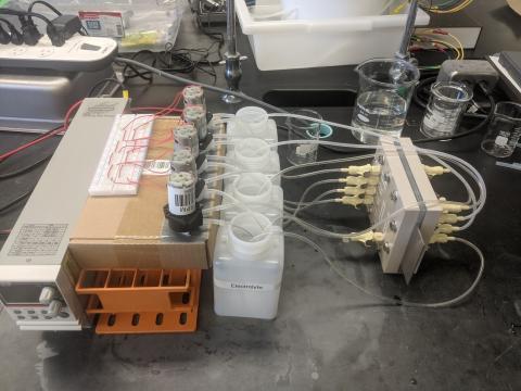 A P E E K electrochemical cell in use.